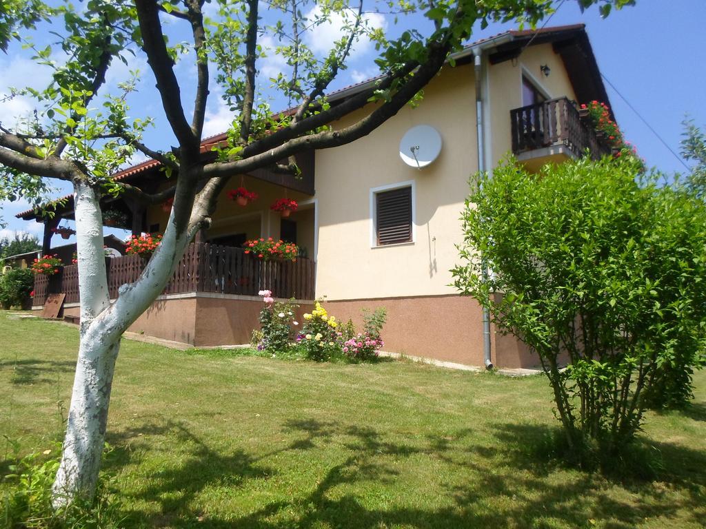House Petra Apartment Rakovica Exterior photo